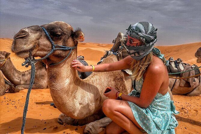 From Djerba: Explore the desert in a day - Key highlights (the stuff that matters)