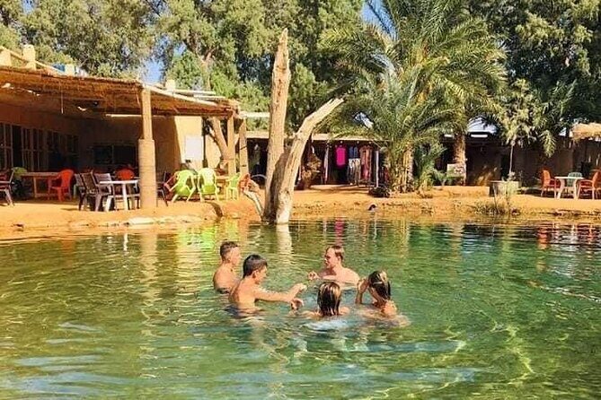 From Djerba: Explore the desert in a day - Starting at 6:00 AM from Djerba: a true day trip schedule