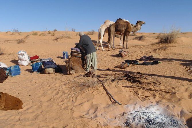 From Tozeur: 3-Day Desert Trip - Day 2: Camel Trek Through the Grand Erg Oriental (Sunrise and Sunset)