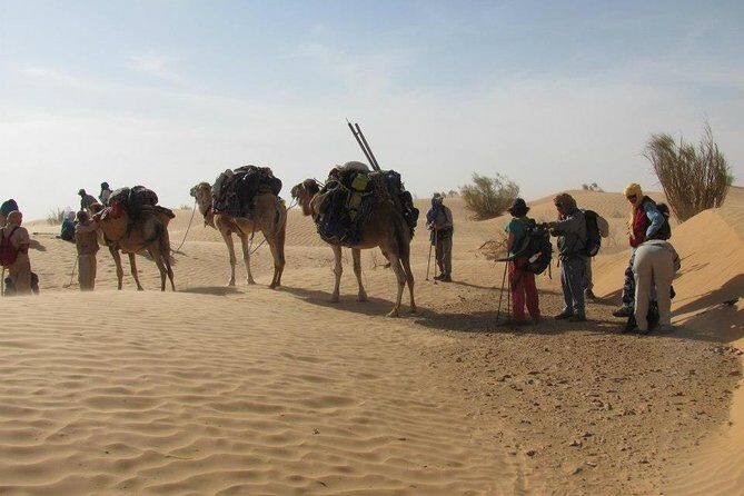 From Tozeur: 3-Day Desert Trip - Comfort, Meals, and What to Expect on Desert Time
