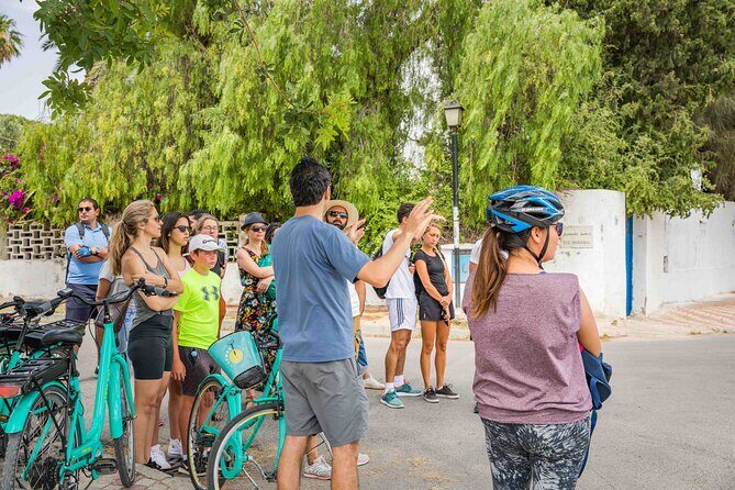 Group Guided Bike Tour of Carthage Archeological Site in Tunisia - Stop 4: Roman Theatre of Carthage and the art of seeing structure