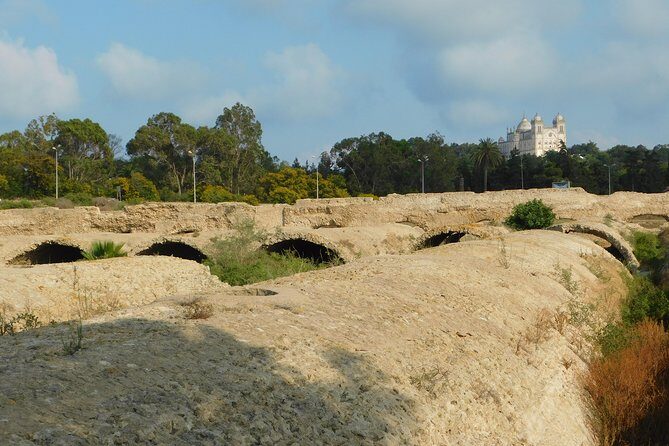 Guided Bike Tour of Carthage Archeological Site in Tunisia - Stop 2: Punic Ports and Museum Views of Mediterranean Trade