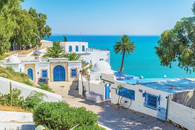 Half a day in Sidi Bousaid from Hammamet - Practical tips to get the most from your three hours
