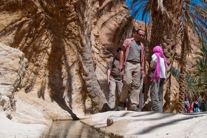 Half-day excursion the mountain oases from Tozeur - Chebika, Tamerza Canyon, and Mides Valley: the real reason this route works