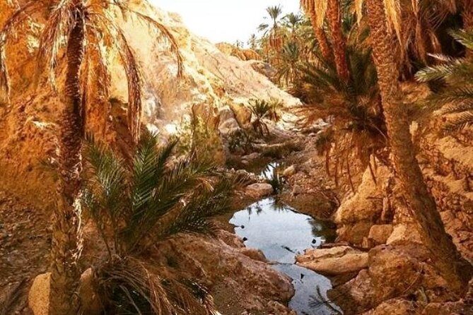Half-day excursion the mountain oases from Tozeur - Stop 2: Tamerza Canyon—Tunisia’s mountain oasis with dramatic contrast