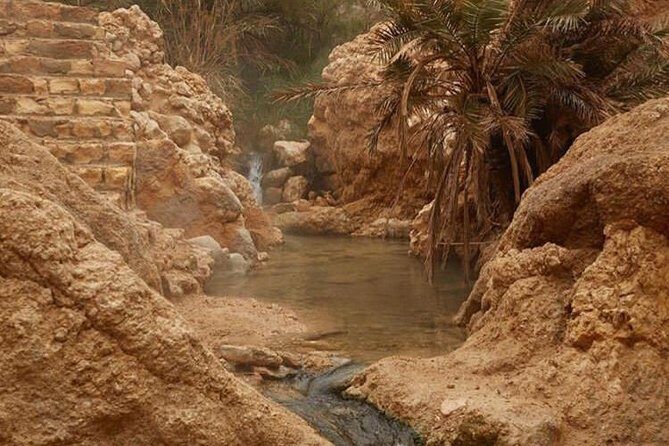 Half-day excursion the mountain oases from Tozeur - Stop 3: Mides Valley—canyon heart, ancient village ruins, and Atlas minerals