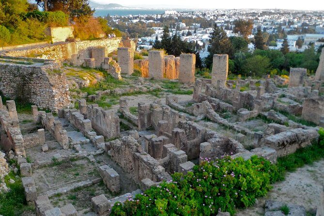 Historical Tour of Ancient Carthage - Key highlights you should care about