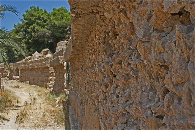 Historical Tour of Ancient Carthage - Private transportation and a route that saves your energy