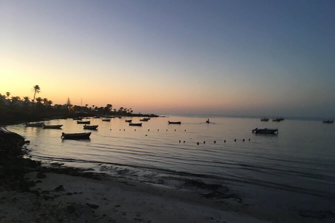 Horseback riding at sunrise 3h - Key things I’d look for before booking