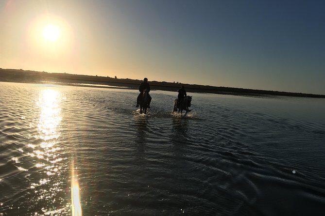 Horseback riding at sunrise 3h - Sunrise horseback riding from Ranch Adada Djerba at 4:00 am