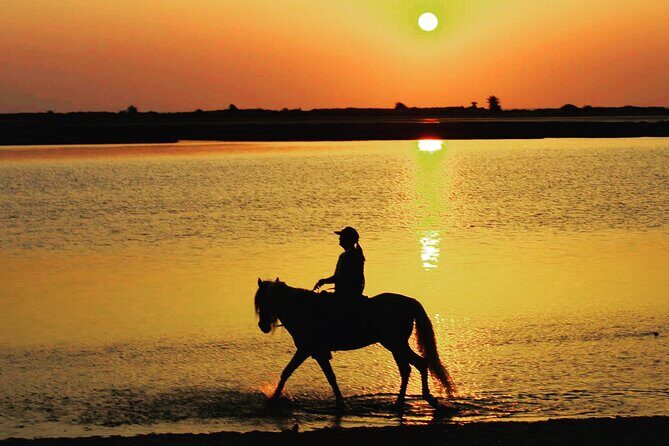 Horseback riding at sunrise 3h - Morgane and the emotional side of a ranch sunrise