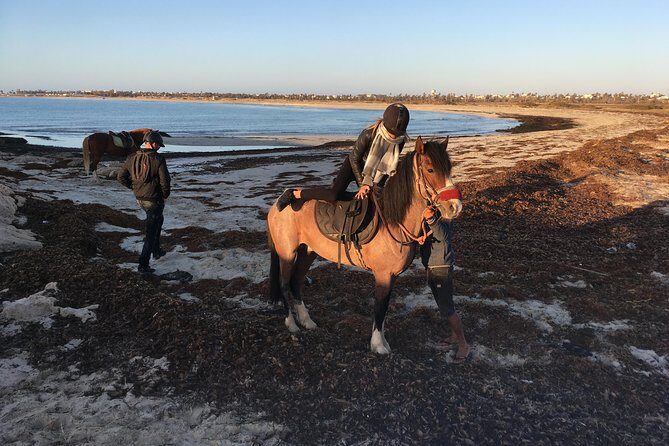 Horseback riding at sunrise 3h - Weather is part of the plan, not an afterthought