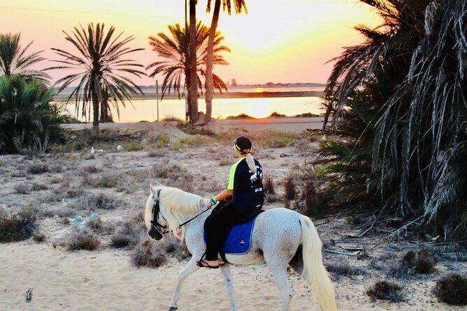 Horseback riding at sunrise 3h - Who should book this sunrise ride (and who should skip)