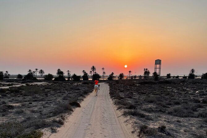 Horseback riding at sunrise 3h - Should you book Horseback riding at sunrise with Ranch Adada Djerba?