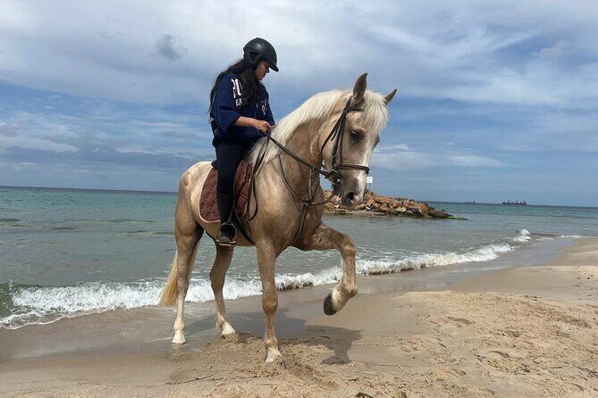 Horseback riding with private transfer - Getting to the stables in Monastir: easier than you’d expect