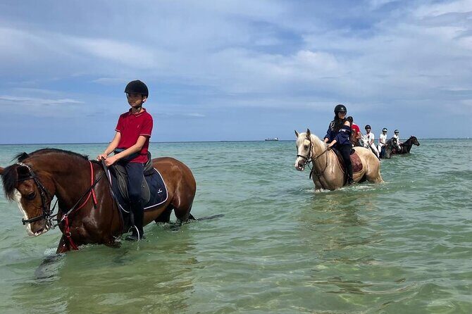 Horseback riding with private transfer - The horses: choosing comfort over ego