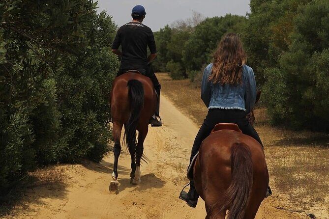 Horseback riding with private transfer - Value for money: what $62.72 buys you (and what to watch)