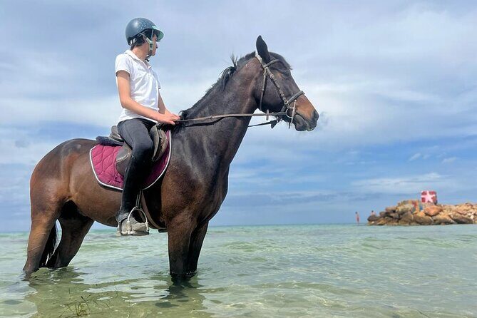 Horseback riding with private transfer - Who this horseback ride suits best