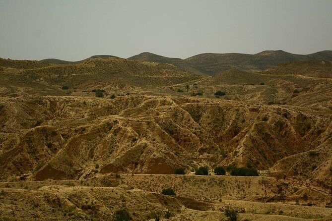 Ksar Ghilane 1 day: The hot spring and the homestay - Key Points at a Glance