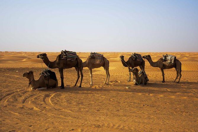 Ksar Ghilane 1 day: The hot spring and the homestay - Tamezret Tea Break: A Viewpoint Moment That Actually Feels Local