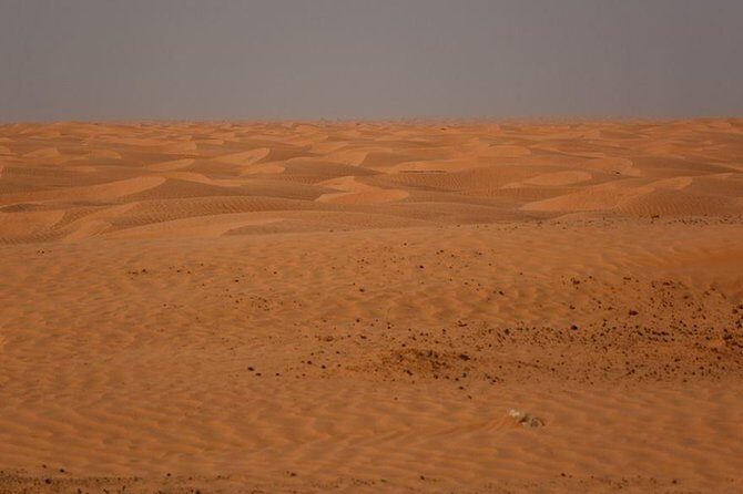 Ksar Ghilane 1 day: The hot spring and the homestay - Ksar Ghilane: Hot Spring Time and Desert Gate Energy