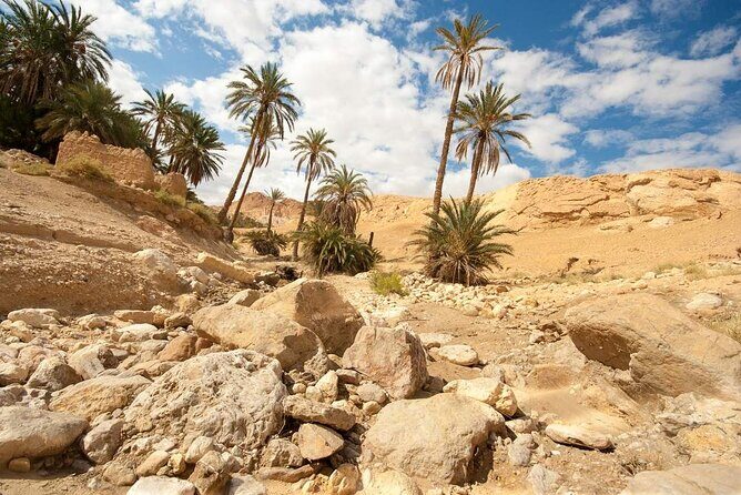 PRIVATE 2 day SAFARI (Ksar Ghilane and Atlas Mountains) from Jerba - Day 2: Tozeur oasis night and the calm of an oasis city