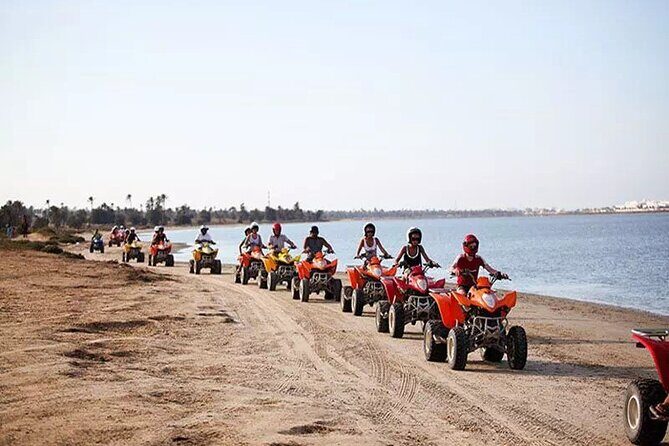 Private 3h00 quad ride on the island of Djerba - Key Highlights at a Glance