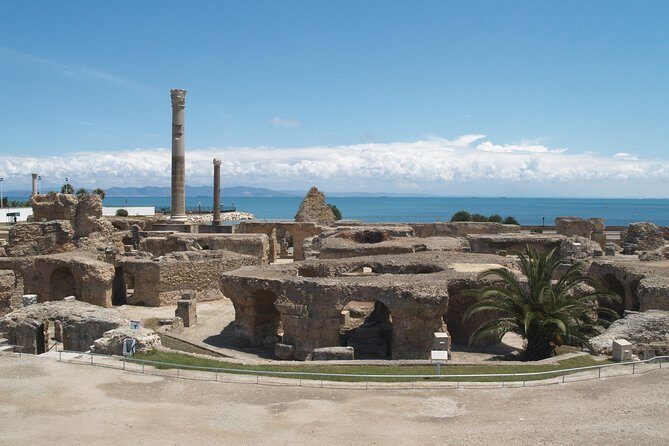 Private Day Tour Tunis Medina Carthage Sidi Bou Said Bardo Museum - Key highlights you’ll feel right away