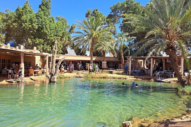 Private Day Trip Ksar Ghilane Oasis - Key points to know before you go