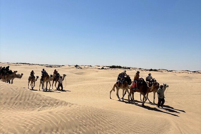 Private Day Trip Ksar Ghilane Oasis - From Djerba to the Roman Causeway: a strong first stop
