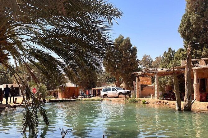 Private Day Trip Ksar Ghilane Oasis - Who should book this trip (and who might not love it)