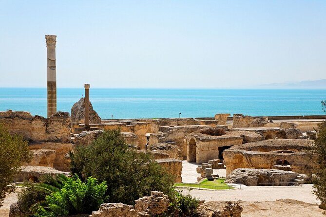 Private Day Trip Tunis Carthage Sidi Bou Said - Key highlights you’ll actually care about