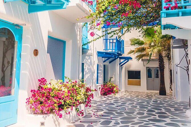 Private Day Trip Tunis Carthage Sidi Bou Said - Sidi Bou Said: blue-and-white charm with steep-street reality