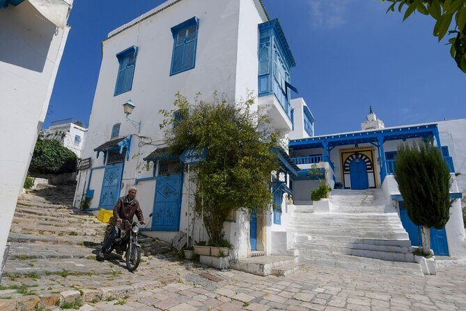 Private Day Trip Tunis Carthage Sidi Bou Said - The Medina of Tunis: guided lanes, Zitouna Mosque area, and market energy