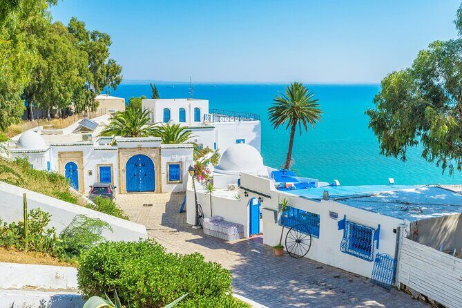 Private Day Trip Tunis Carthage Sidi Bou Said - Price and Logistics: is $149.89 per person worth it?