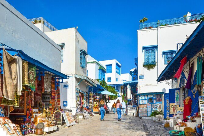 Private Day Trip Tunis Carthage Sidi Bou Said - Comfort tips that make this day trip work better