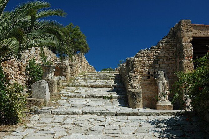 Private Day Trip Tunis Carthage Sidi Bou Said - Who should book this tour (and who might not)