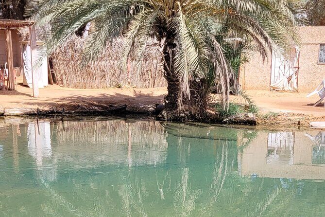 Private getaway in the desert like no other - Price and value: $209.06 per person, and what’s extra
