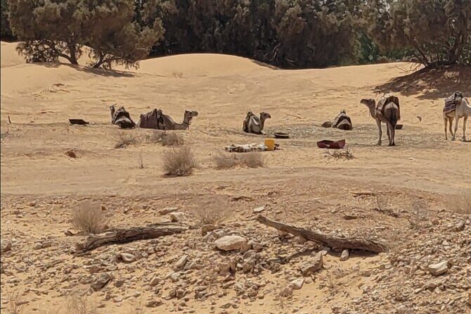 Private getaway in the desert like no other - Who should book this private desert getaway?