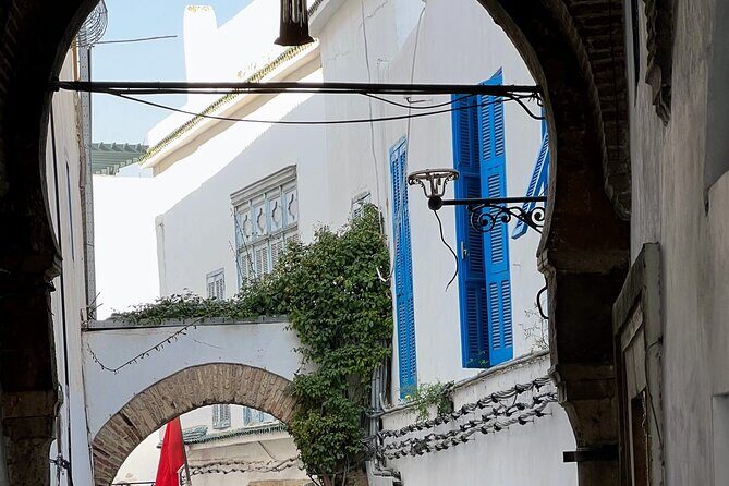 Private Group Day Tour Tunis Medina Carthage Sidi Bou Said - Price and value: what $527.90 per group really means