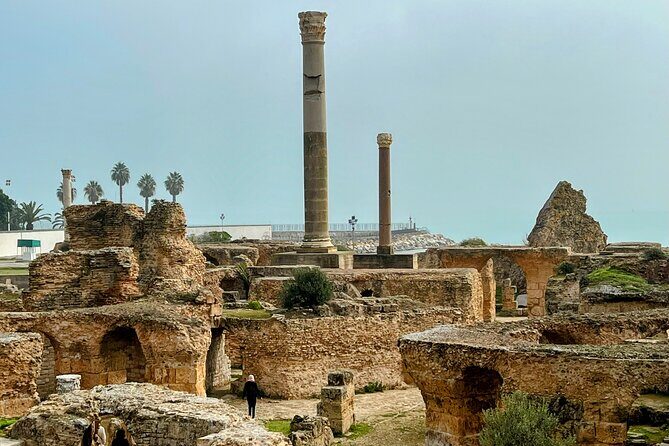 Private Group Day Tour Tunis Medina Carthage Sidi Bou Said - The guide and the human side of the experience