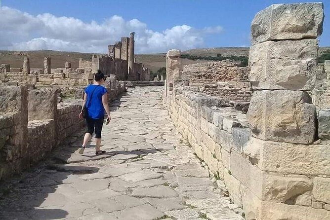 Private Guided Tour of Dougga and Testour Mosque - Who this tour suits best (and who should pick something else)