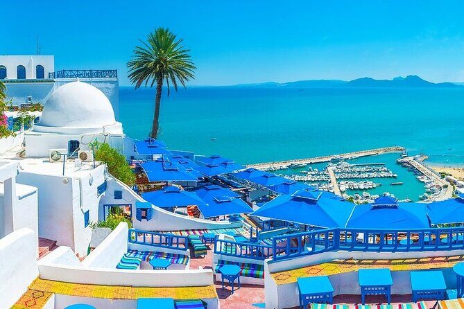 Private Tour Bardo Museum, Carthage, Sidi Bou Said and Medina - Key Things You’ll Notice on This Tour