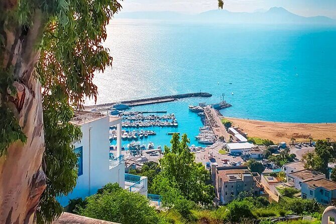Private Tour Bardo Museum, Carthage, Sidi Bou Said and Medina - Ez-Zitouna Mosque and Saint Louis Cathedral (Outside)