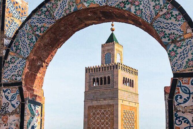 Private Tour Bardo Museum, Carthage, Sidi Bou Said and Medina - Carthage Ruins: From Punic Wars to Roman Power