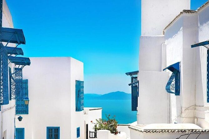 Private tour: Medina,Carthage ,Sidi Bou Said, Bardo Museum+lunch - Key things I’d highlight before you go