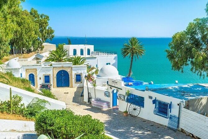 Private tour: Medina,Carthage ,Sidi Bou Said, Bardo Museum+lunch - Tunis by highlights: how this day tour works in real life