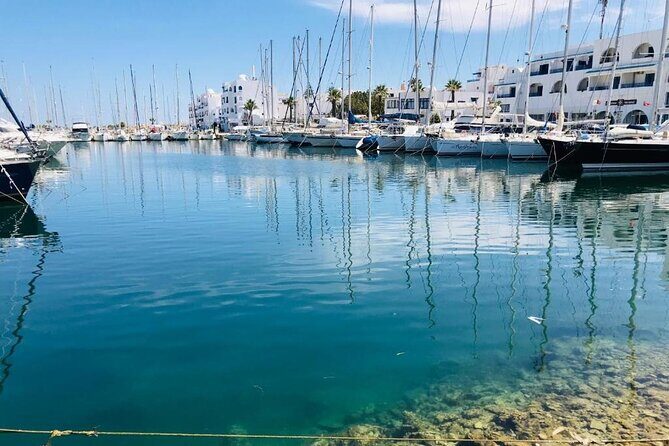 Private Tour to Kairouan, El Jem & Monastir from Tunis_hammamet - Aghlabid basins: the engineering break between big monuments