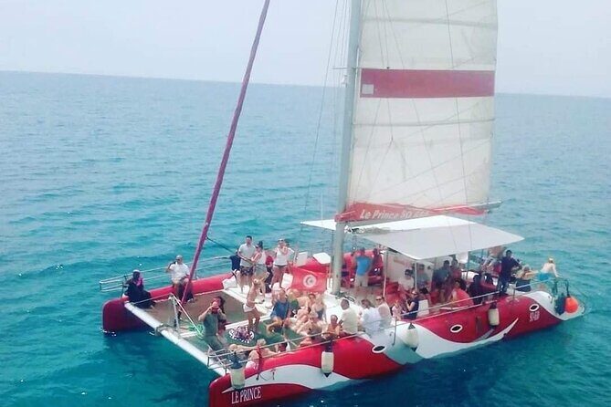 Sea Trip on Catamaran in Hammamet with Transfer - Dolphin sightings: what’s real, what’s not