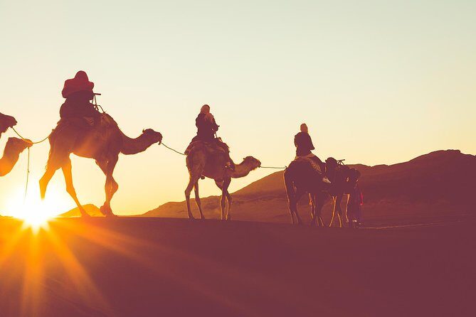 Sunset or Sunrise Camel ride in the Sahara Desert of Douz - Key Highlights You’ll Actually Feel